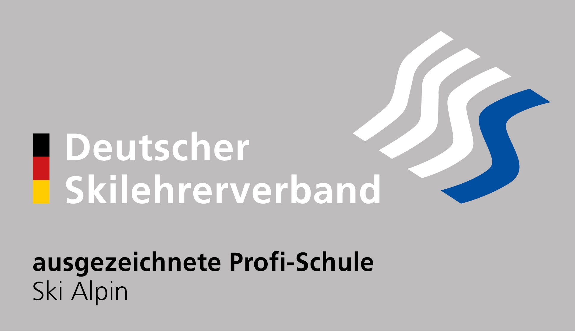 DSLV Profi_Ski_weiss_blau_auf_silber_RGB